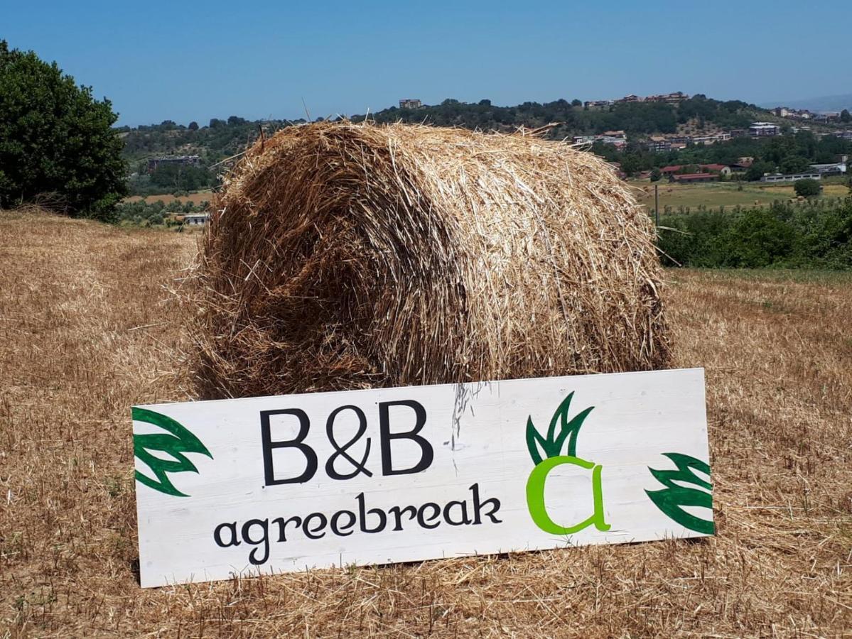 B&B Agreebreak Rende Εξωτερικό φωτογραφία