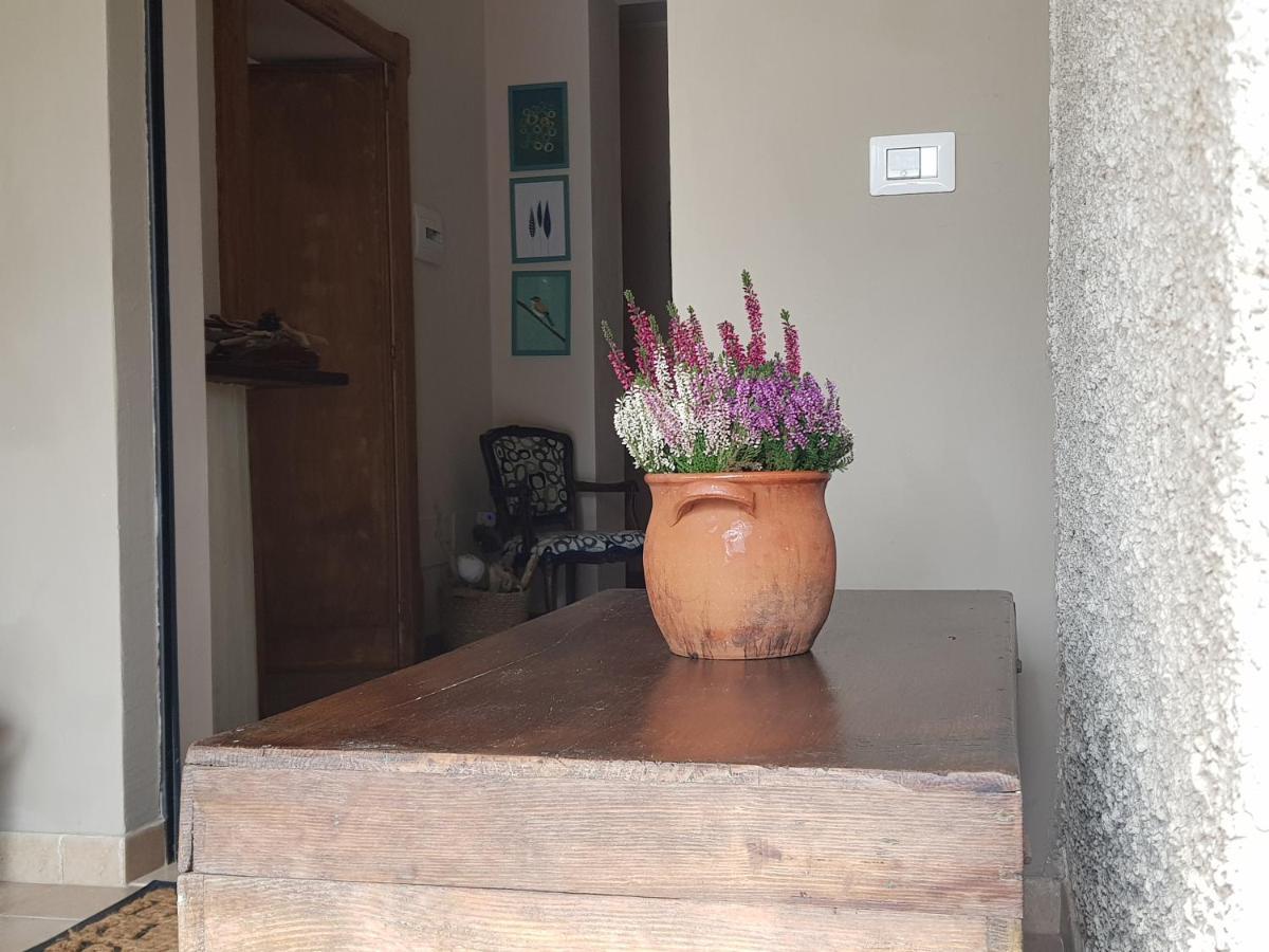 B&B Agreebreak Rende Εξωτερικό φωτογραφία