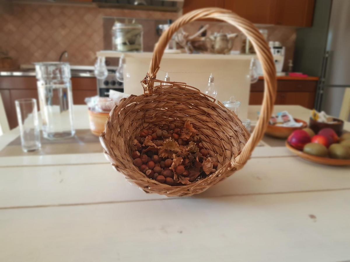 B&B Agreebreak Rende Εξωτερικό φωτογραφία